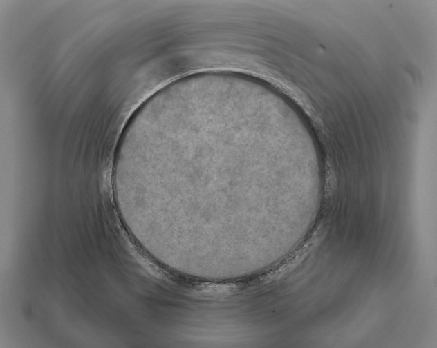 X0000112201513200909181523