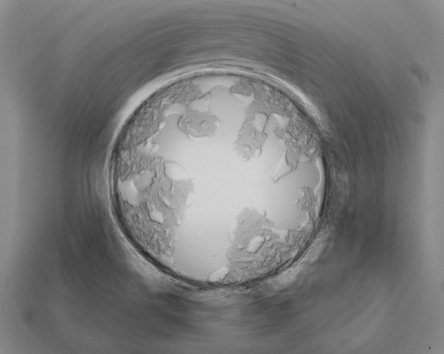 X0000112201514200909181523