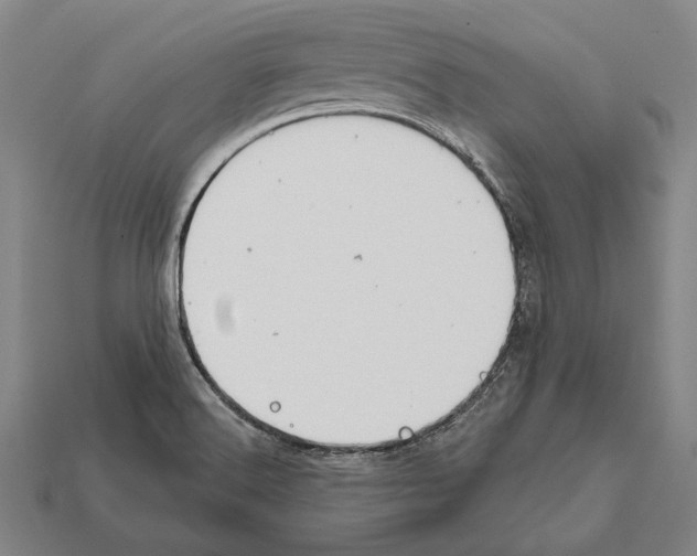 X0000112201516200909181523