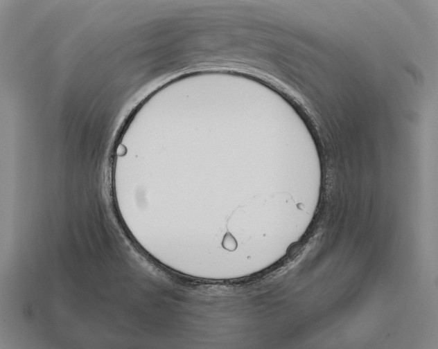 X0000112201517200909181523