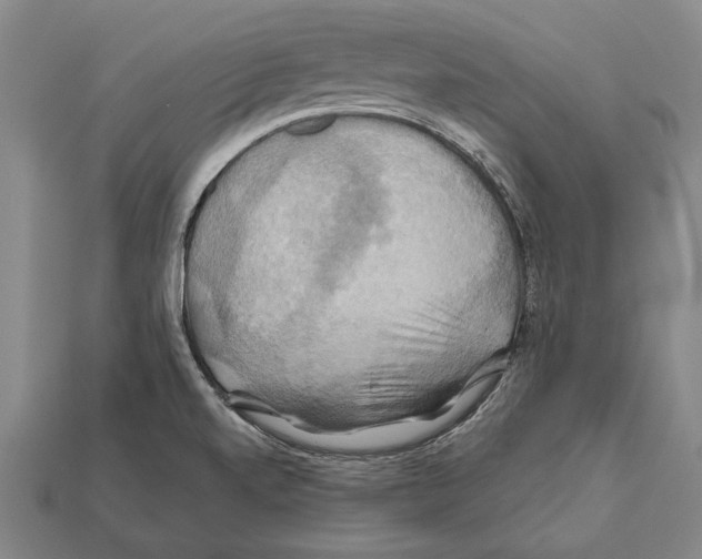 X0000112201520200909181523