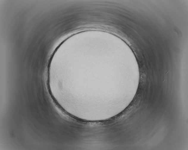 X0000112201523200909181523