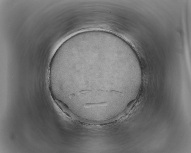 X0000112201524200909181523