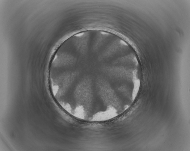 X0000112201525200909181523