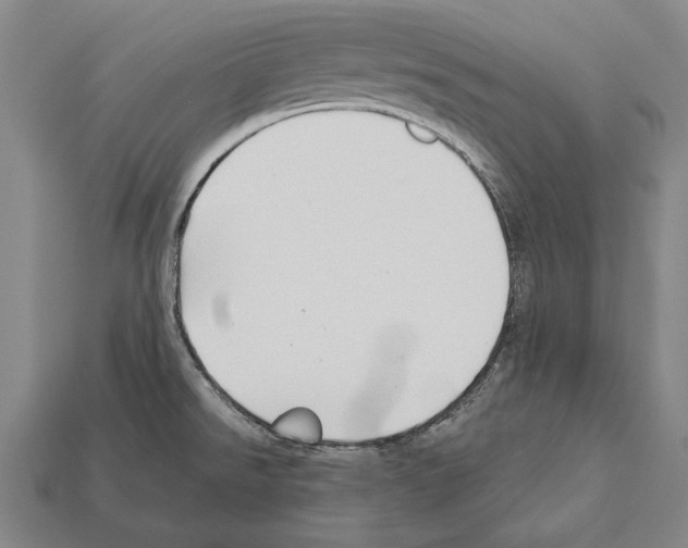 X0000112201526200909181523