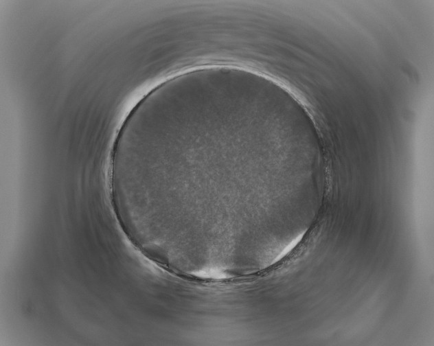 X0000112201527200909181523