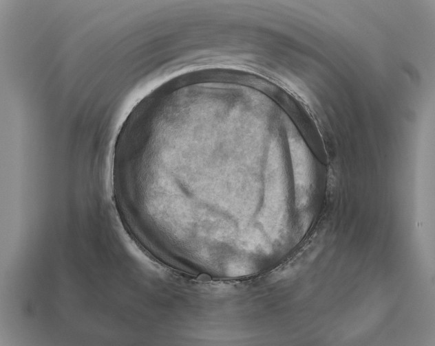 X0000112201528200909181523