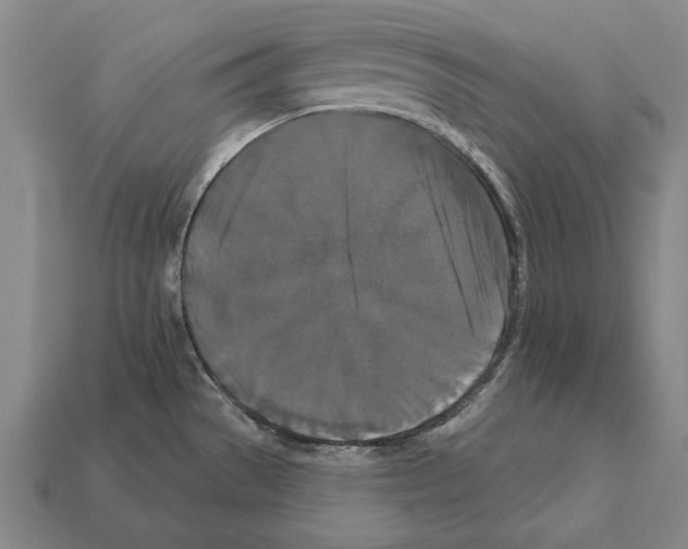 X0000112201529200909181523