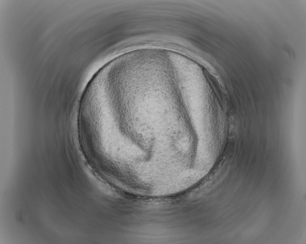 X0000112201530200909181523