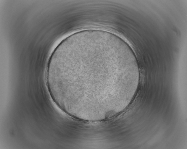 X0000112201531200909181523