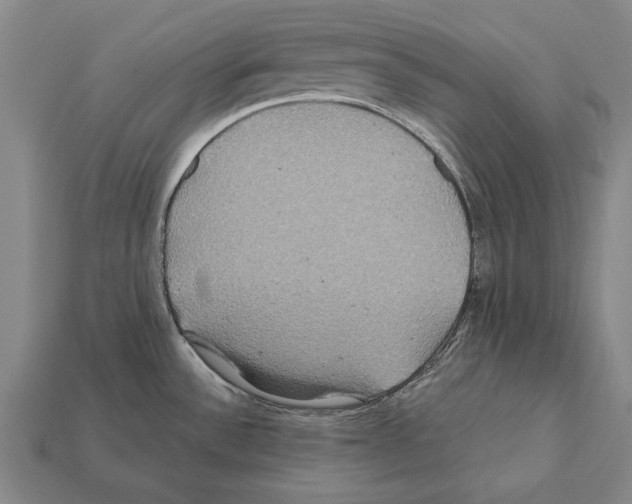 X0000112201532200909181523