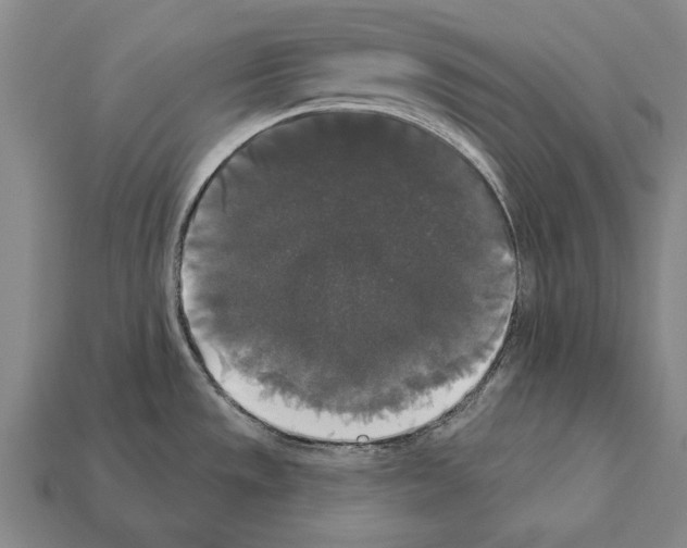 X0000112201533200909181523