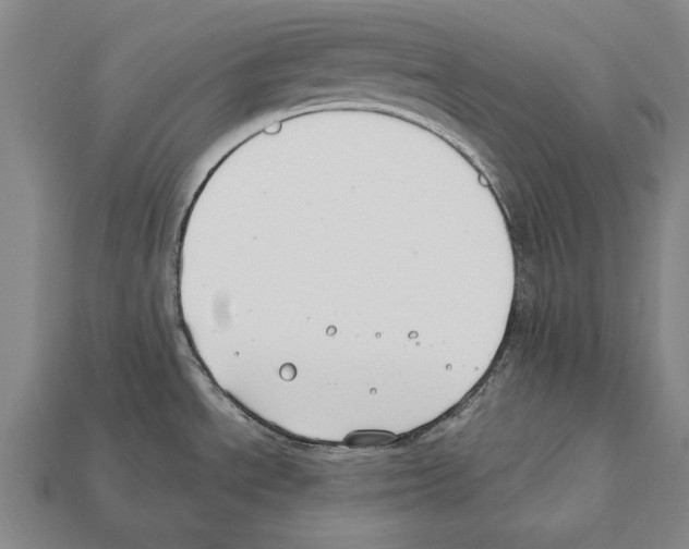 X0000112201534200909181523