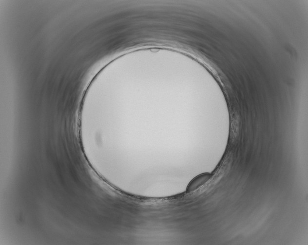 X0000112201535200909181523