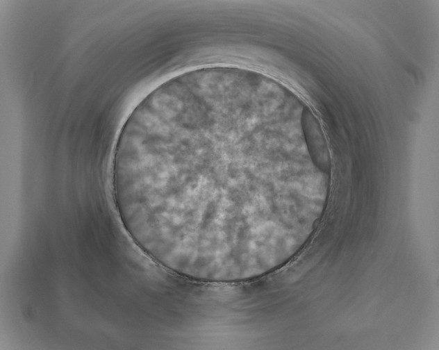 X0000112201536200909181523