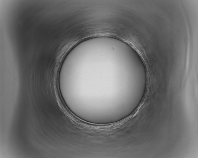 X0000112210001200908071312