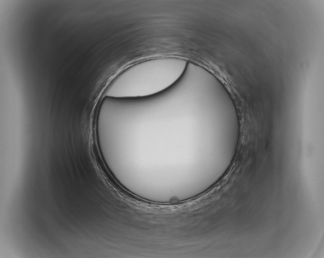 X0000112210002200908071312