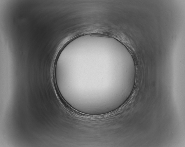 X0000112210003200908071312