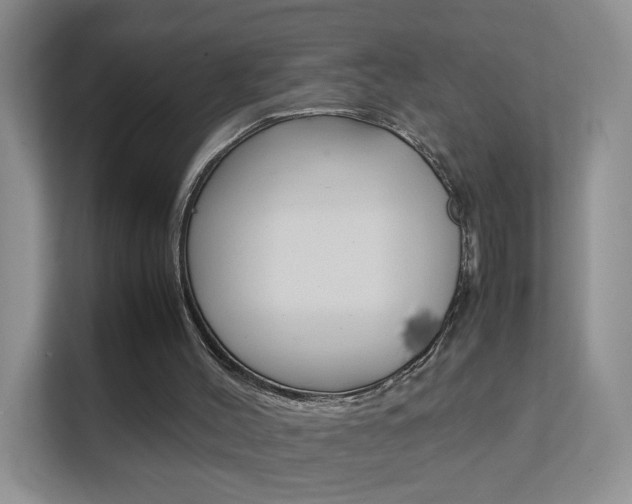 X0000112210004200908071312