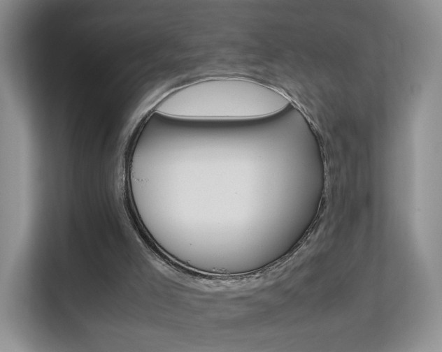 X0000112210005200908071312