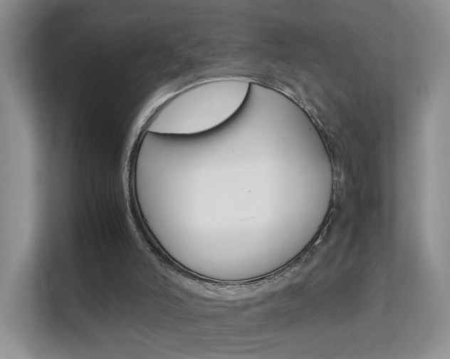 X0000112210006200908071312