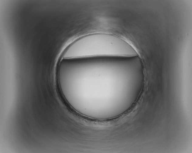 X0000112210008200908071312