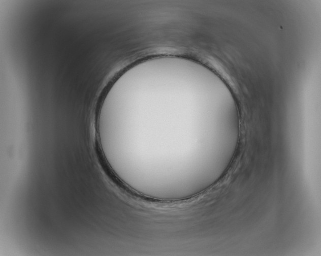 X0000112210011200908071312
