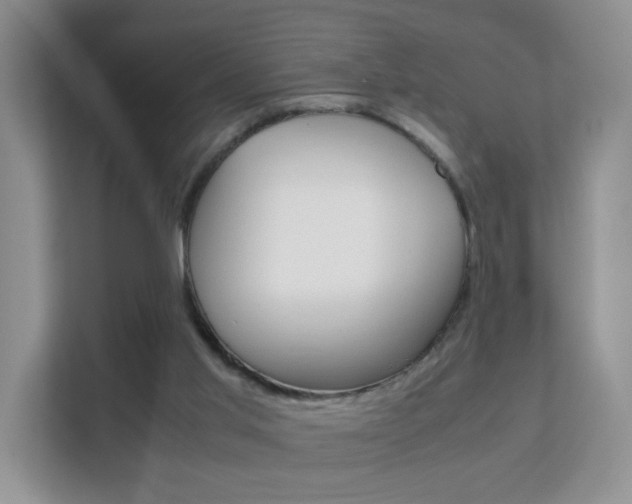 X0000112210013200908071312