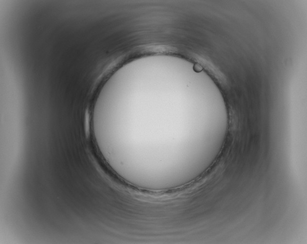 X0000112210014200908071312
