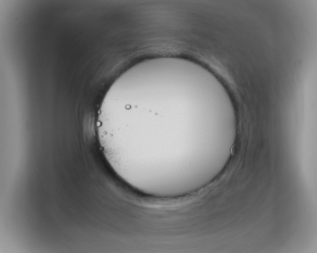 X0000112210021200908071312