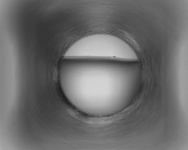 X0000112210025200908071312