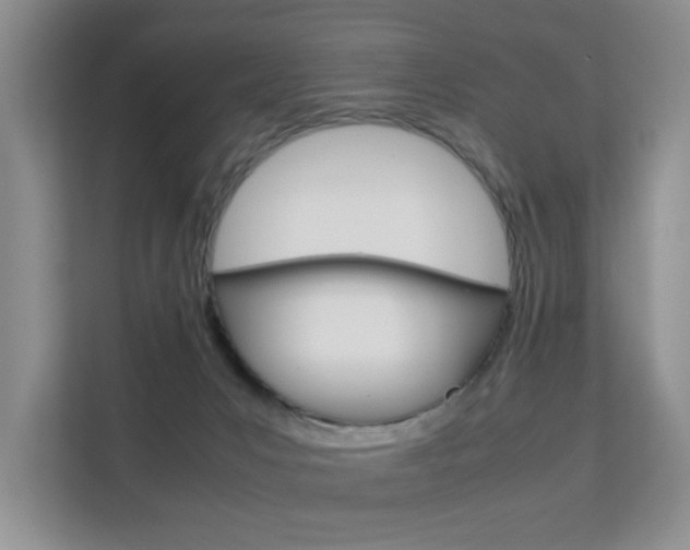 X0000112210031200908071312