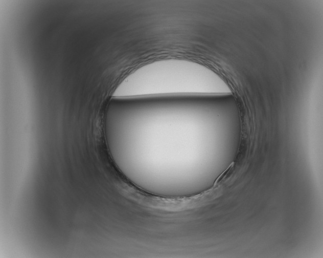 X0000112210037200908071312