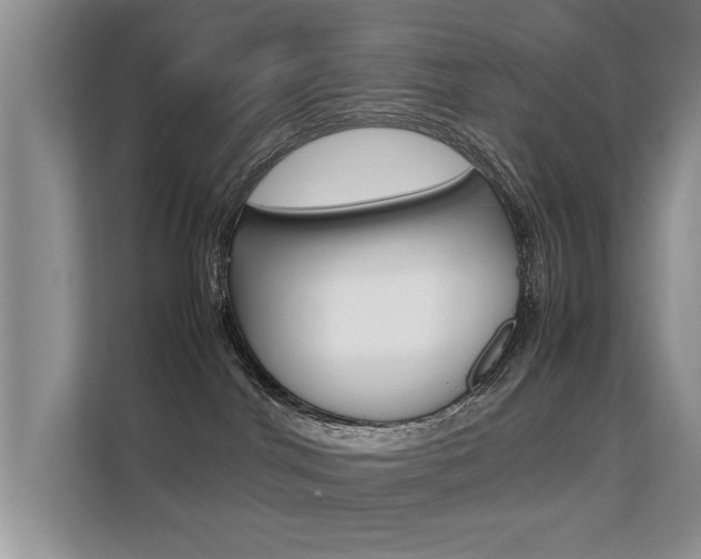X0000112210044200908071312