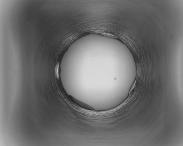 X0000112210047200908071311