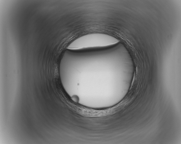 X0000112210048200908071311