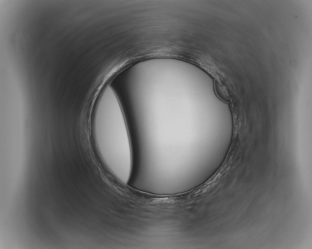 X0000112210050200908071311