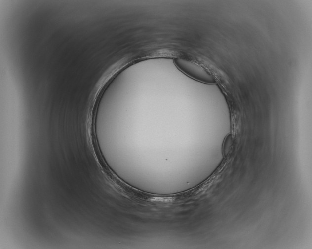 X0000112210051200908071311