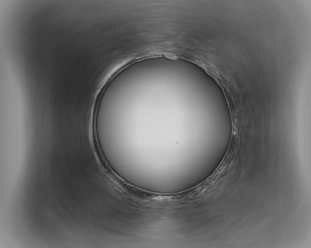 X0000112210052200908071311