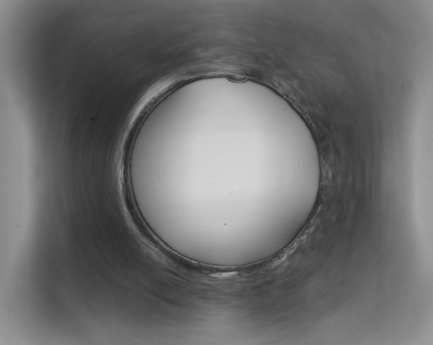 X0000112210054200908071311