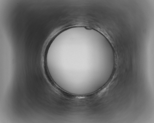 X0000112210055200908071311