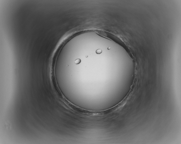 X0000112210056200908071311