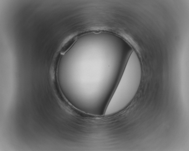 X0000112210060200908071311
