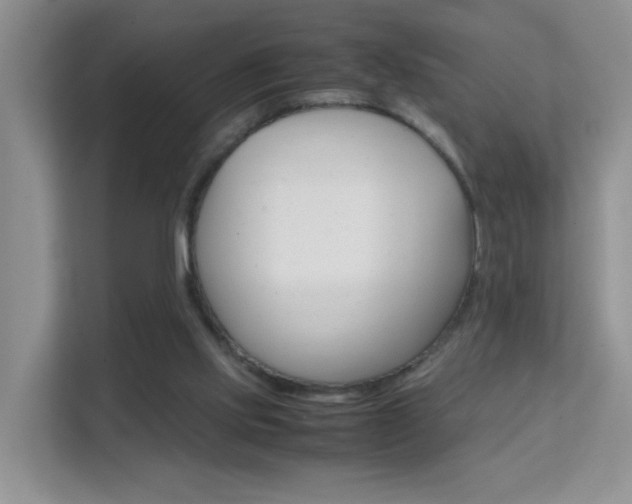 X0000112210061200908071311