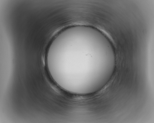 X0000112210062200908071311