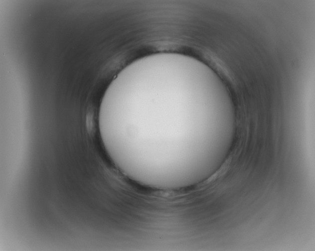 X0000112210074200908071311
