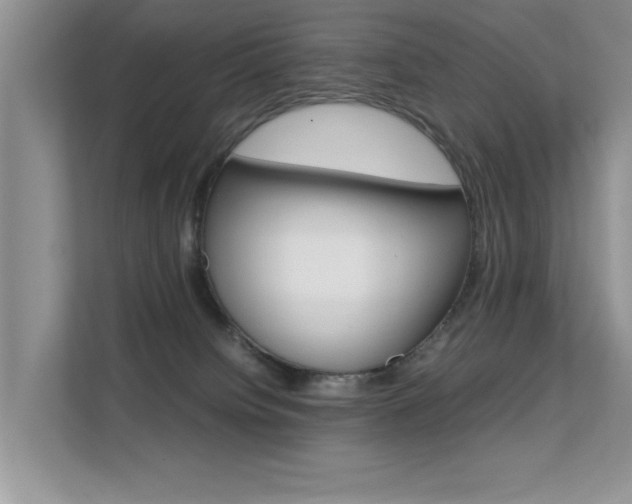 X0000112210084200908071311