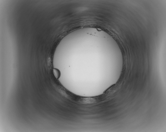 X0000112210087200908071311