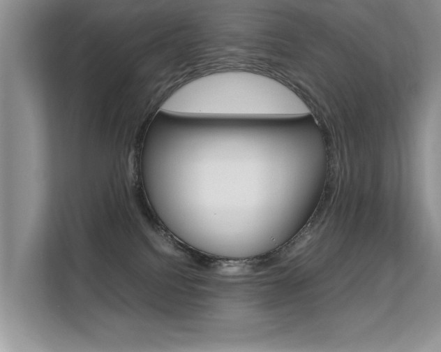 X0000112210088200908071311