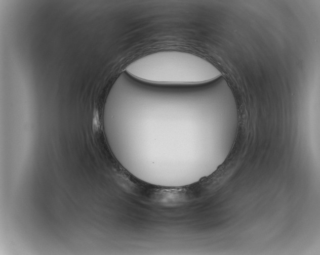 X0000112210089200908071311